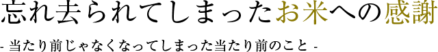 忘れ去られてしまった お米への感謝 当たり前じゃなくなってしまった当たり前のこと